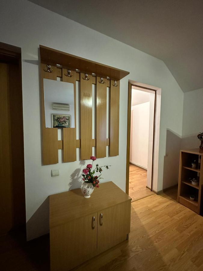 Georgiana Apartments 2 Timişoara Buitenkant foto